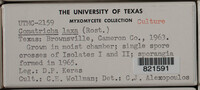 Image Associated With the Occurence